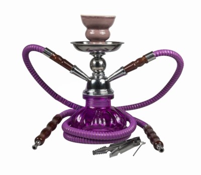 Sahbi Pumpkin Waterpijp - Twee slangen - Paars